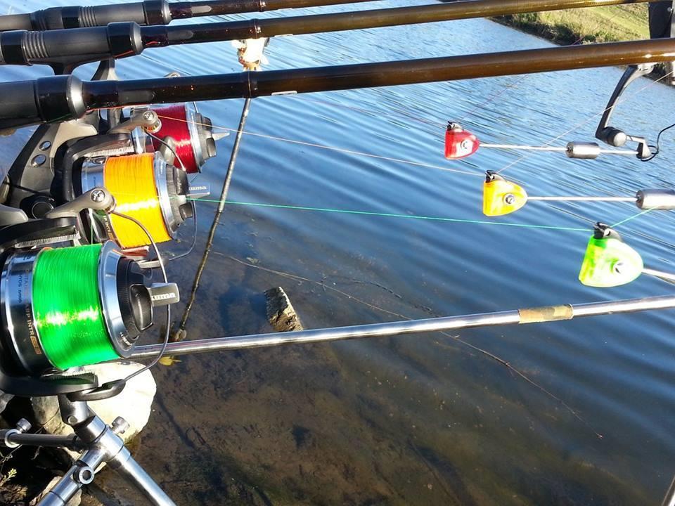 foto bune. - 1235892417604125005789673451260n.jpg